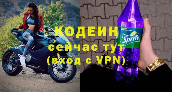 стаф Касимов