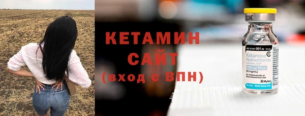 стаф Касимов