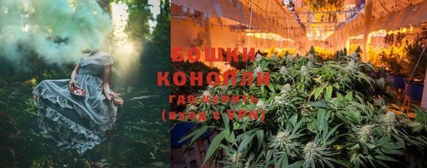 стаф Касимов
