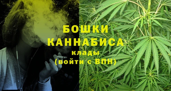 стаф Касимов