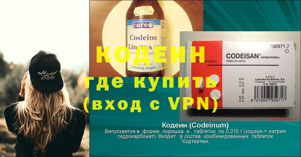 стаф Касимов