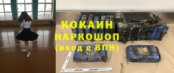 стаф Касимов