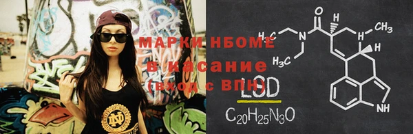 стаф Касимов