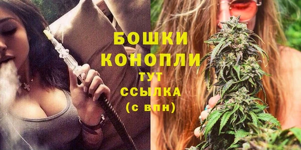 ПСИЛОЦИБИНОВЫЕ ГРИБЫ Карпинск