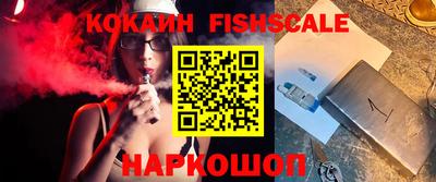 стафф Камышлов