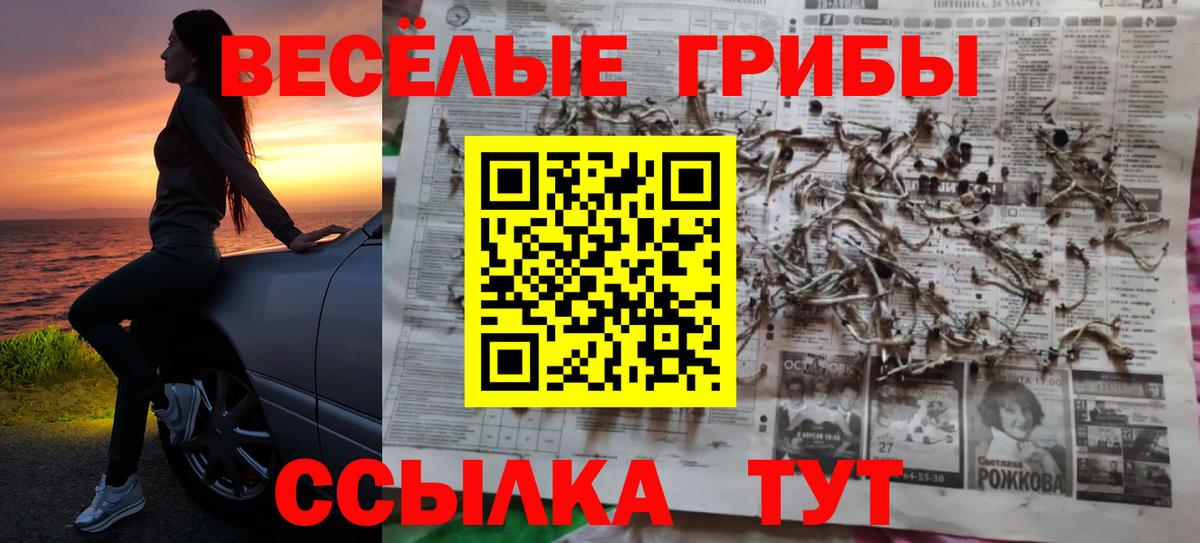 Галлюциногенные грибы ЛСД Курчалой